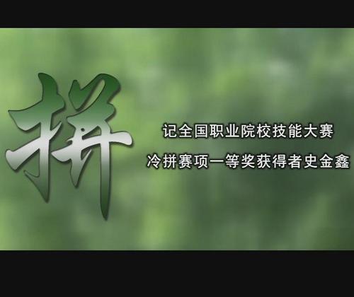 拼——記大賽獲獎(jiǎng)選手史金鑫